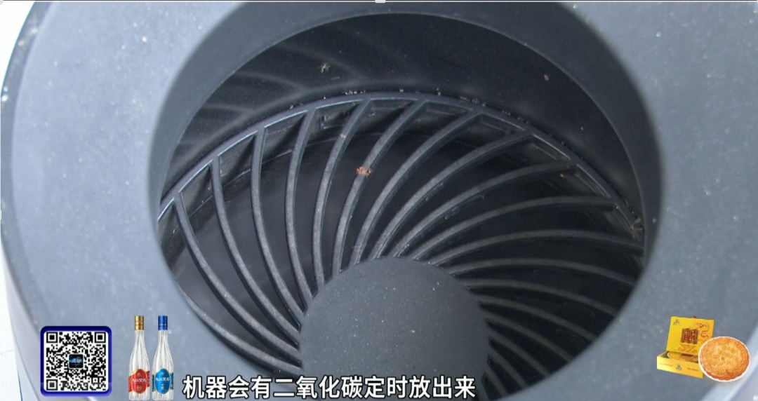 “模仿人的呼吸,骗蚊子上当”,广州多条街道上线灭蚊“黑科技” “模仿人的呼吸,骗蚊子上当”,广州多条街道上线灭蚊“黑科技”