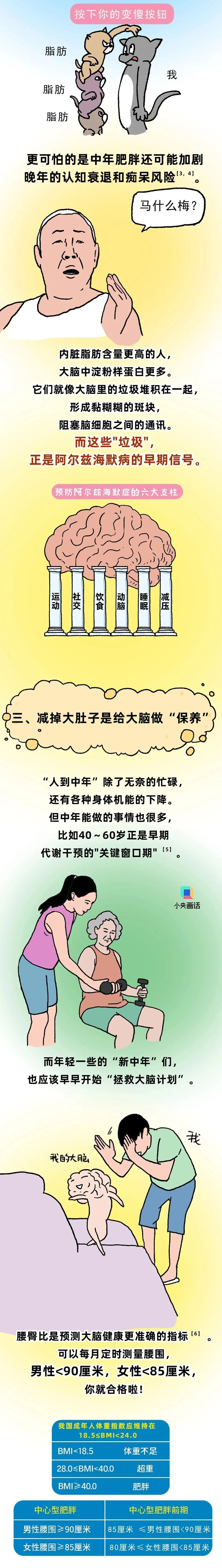 小心！肚子上的“游泳圈”，可能让人变“笨”