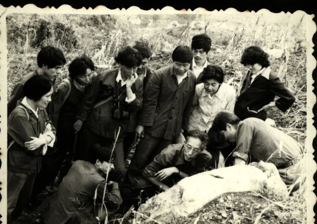中国科学院院士刘宝珺在成都逝世,享年96岁 中国科学院院士刘宝珺在成都逝世,享年96岁
