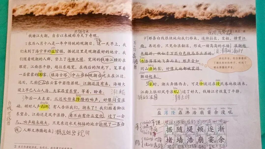 乘高铁直达！这儿的观潮季即将到来