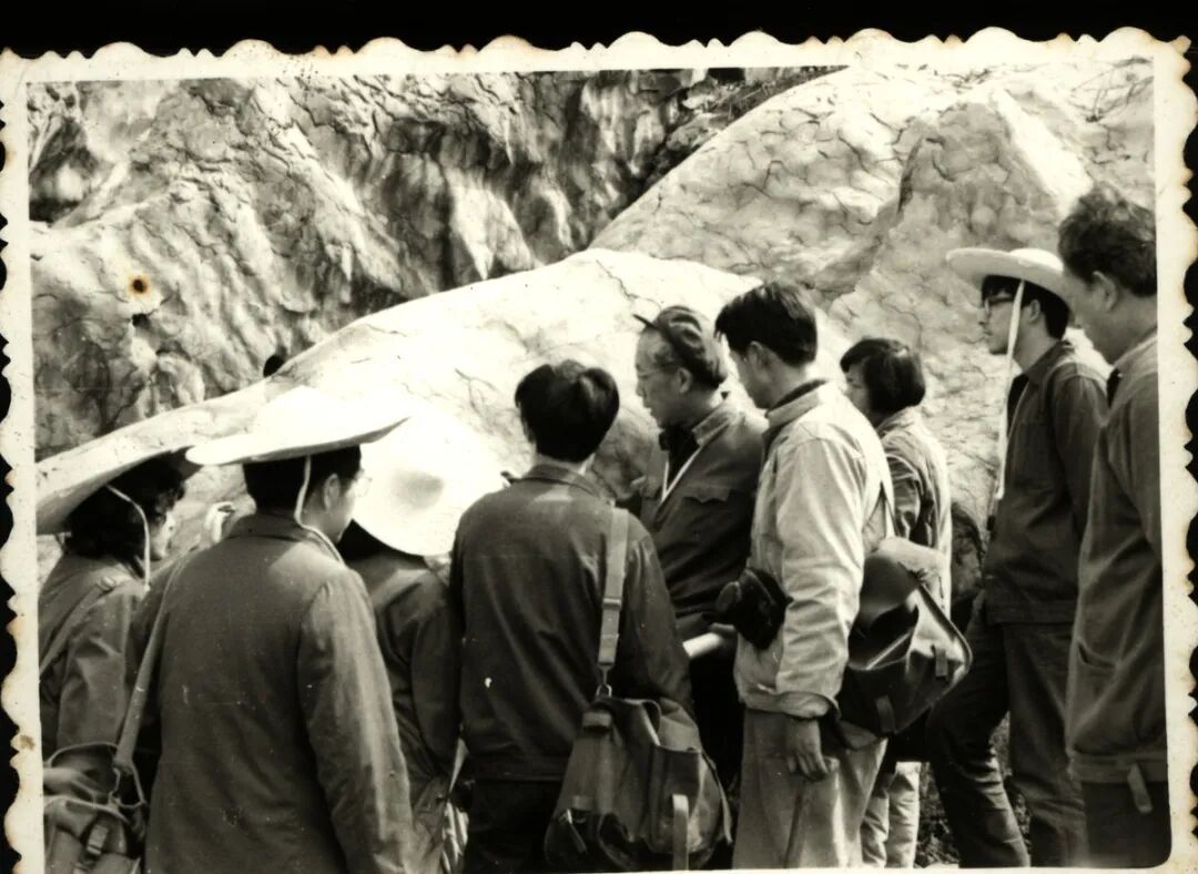 中国科学院院士刘宝珺在成都逝世,享年96岁 中国科学院院士刘宝珺在成都逝世,享年96岁