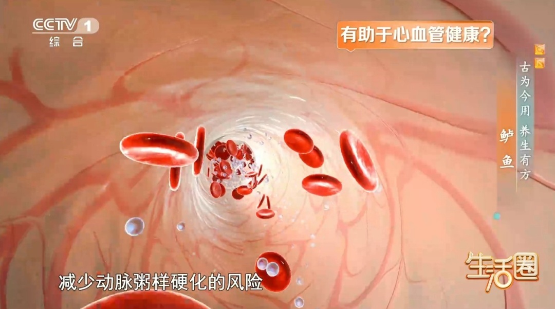 秋季进补常吃这种鱼，护血管、养筋骨，还不容易上火，但这3类人尽量别吃