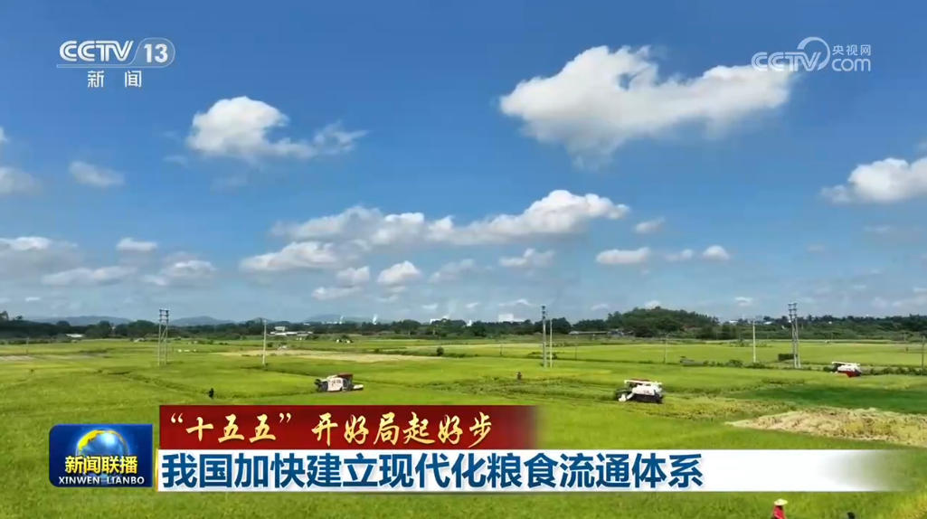 【“十五五”开好局起好步】我国加快建立现代化粮食流通体系