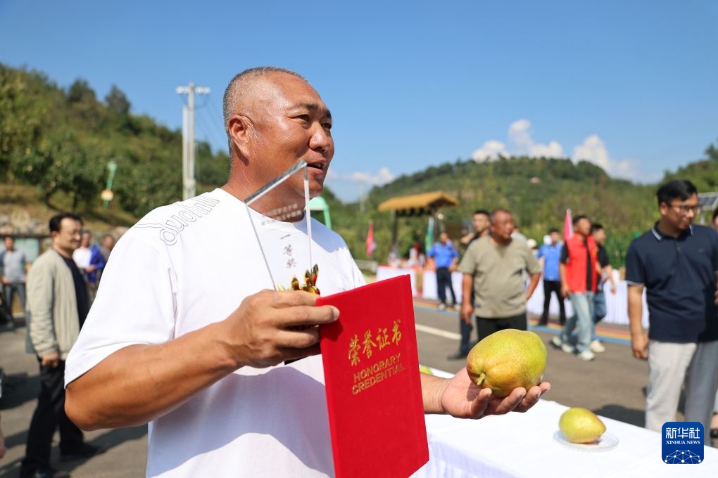 金秋旅游 梨王争霸 金秋旅游 梨王争霸