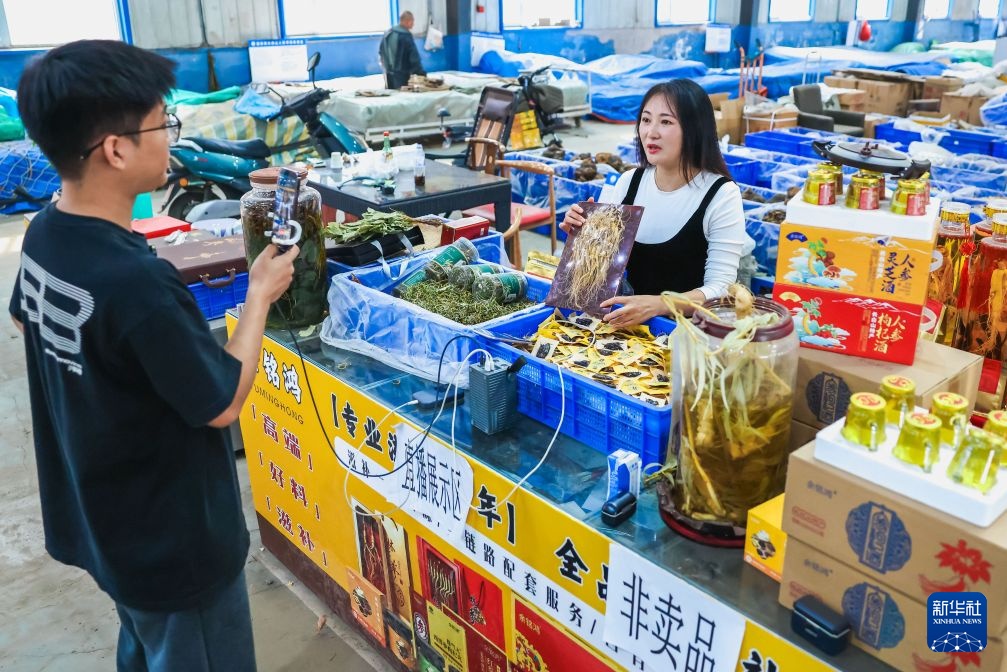 “人参之乡”喜迎收获季