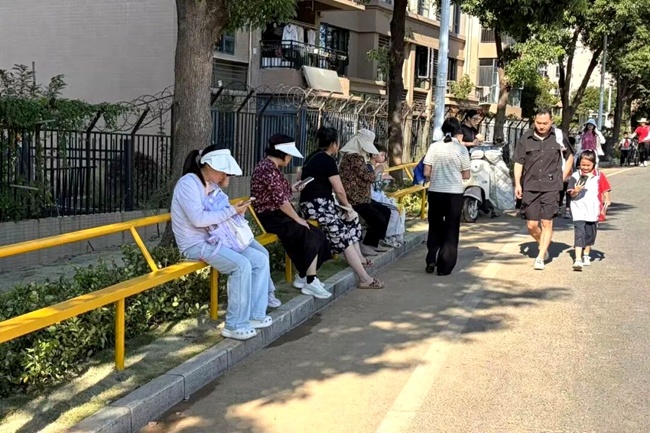 “一根杆”火出圈后，认真“抄作业”的来了！