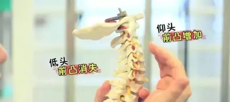原来睡觉需要2个枕头！医生：一个用来枕头，另一个用来垫腿