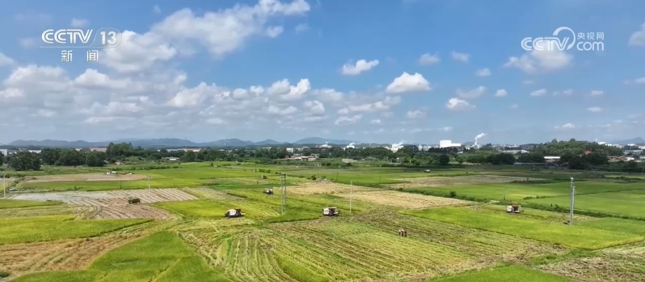 “十五五”时期将深入实施国家粮食安全战略 端稳端牢“中国饭碗” “十五五”时期将深入实施国家粮食安全战略 端稳端牢“中国饭碗”