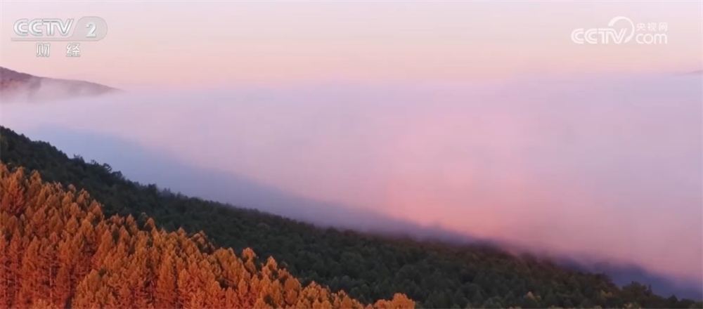 节前文旅市场逐渐升温 多地推陈出新打造本地特色消费新场景 节前文旅市场逐渐升温 多地推陈出新打造本地特色消费新场景