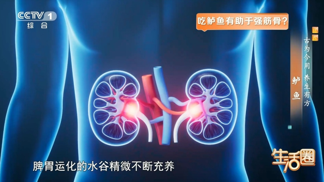 秋季进补常吃这种鱼，护血管、养筋骨，还不容易上火，但这3类人尽量别吃