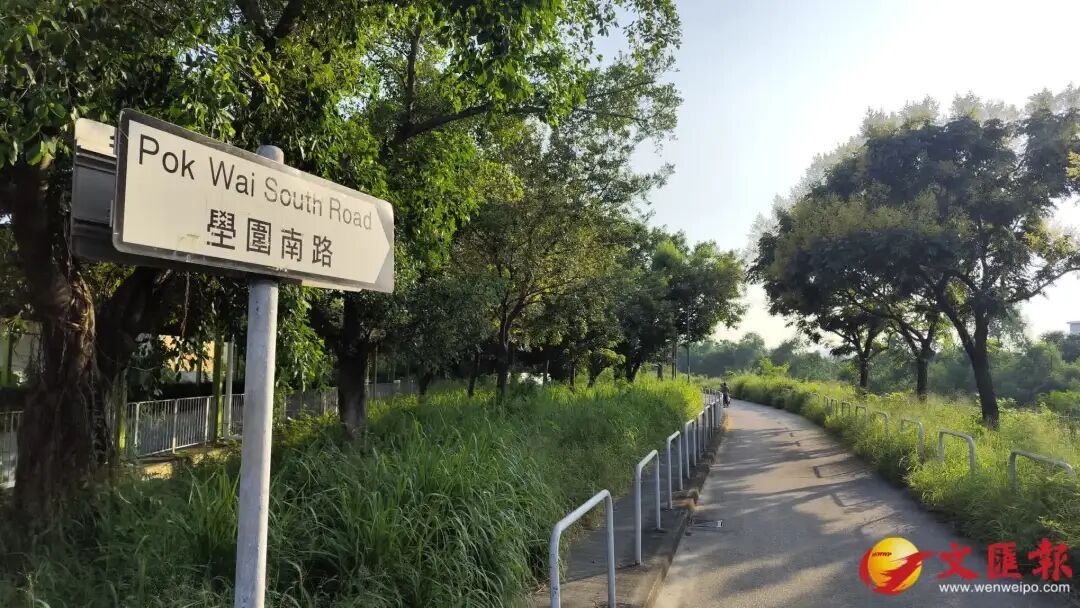 香港27岁女子浑身是血倒在人行道上,面部颈部和四肢均被咬伤,警方通报:已身亡,生前被3只狗追逐 香港27岁女子浑身是血倒在人行道上,面部颈部和四肢均被咬伤,警方通报:已身亡,生前被3只狗追逐
