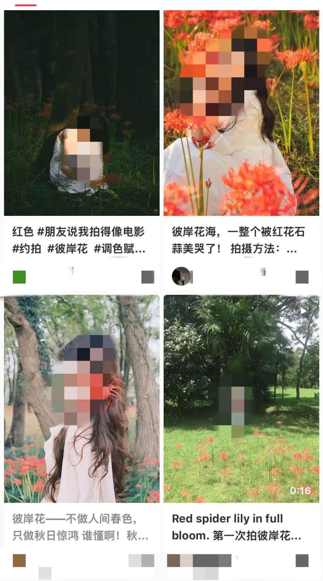 街头出现这种植物，千万别碰！提醒：全株有毒