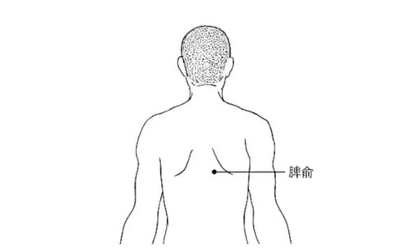 中医防敏有方 | 喷嚏、鼻涕、鼻塞轮番上阵?针灸调护帮您“通通气” 中医防敏有方 | 喷嚏、鼻涕、鼻塞轮番上阵?针灸调护帮您“通通气”