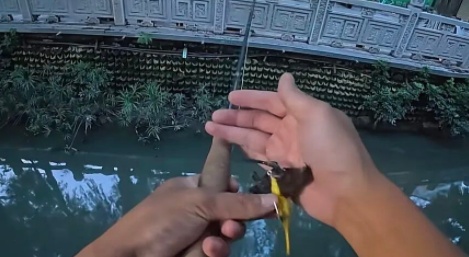 佛山一男子钓鱼意外钓到蝙蝠，以为是枯叶还捏了一下，医生：接触就算三级暴露，需重视