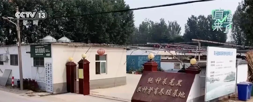花钱就能给食品“背书”,“中食办”是什么来头? 花钱就能给食品“背书”,“中食办”是什么来头?