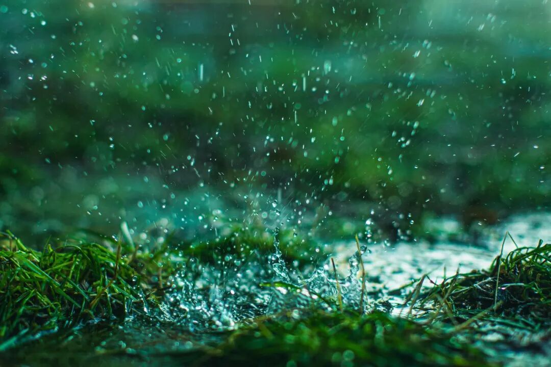 江苏中秋假期要 “泡汤”？大雨 + 大风轮番上线