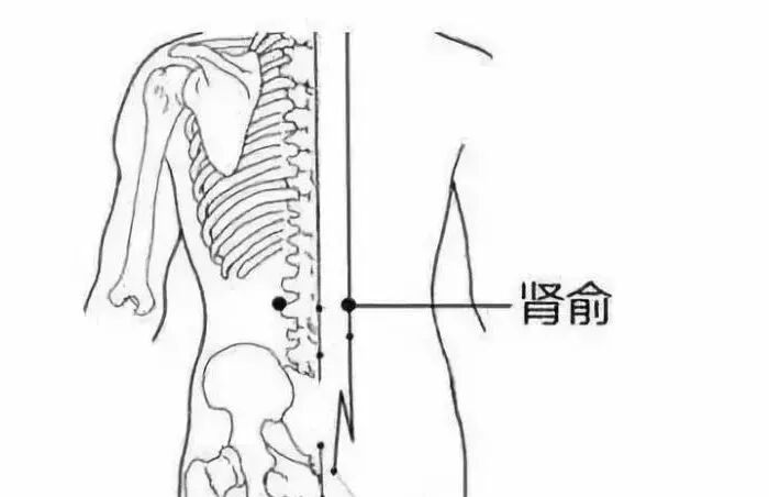 中医防敏有方 | 喷嚏、鼻涕、鼻塞轮番上阵?针灸调护帮您“通通气” 中医防敏有方 | 喷嚏、鼻涕、鼻塞轮番上阵?针灸调护帮您“通通气”