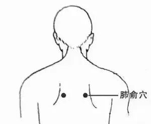 中医防敏有方 | 喷嚏、鼻涕、鼻塞轮番上阵?针灸调护帮您“通通气” 中医防敏有方 | 喷嚏、鼻涕、鼻塞轮番上阵?针灸调护帮您“通通气”