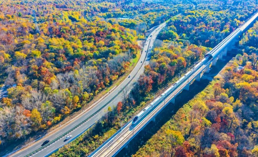 通车一年,沈白高铁跑出了什么速度? 通车一年,沈白高铁跑出了什么速度?