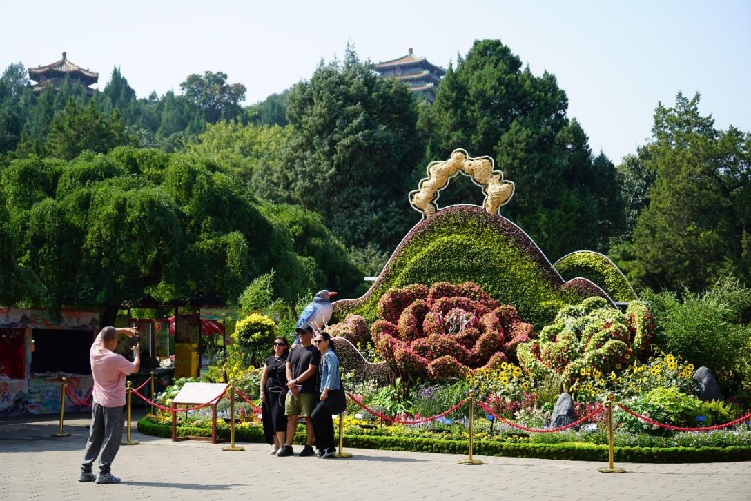 北京市属公园中秋国庆花卉环境布置亮相 北京市属公园中秋国庆花卉环境布置亮相