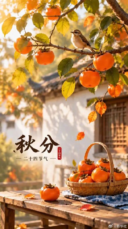 秋意半至喜悦长存 秋意半至喜悦长存
