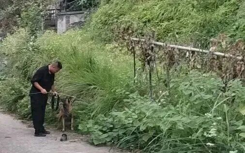 连续搜救30个小时，87岁老人找到了！