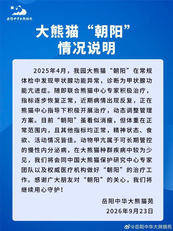 大熊猫“朝阳”被诊断为甲亢，岳阳中华大熊猫苑发布最新情况说明