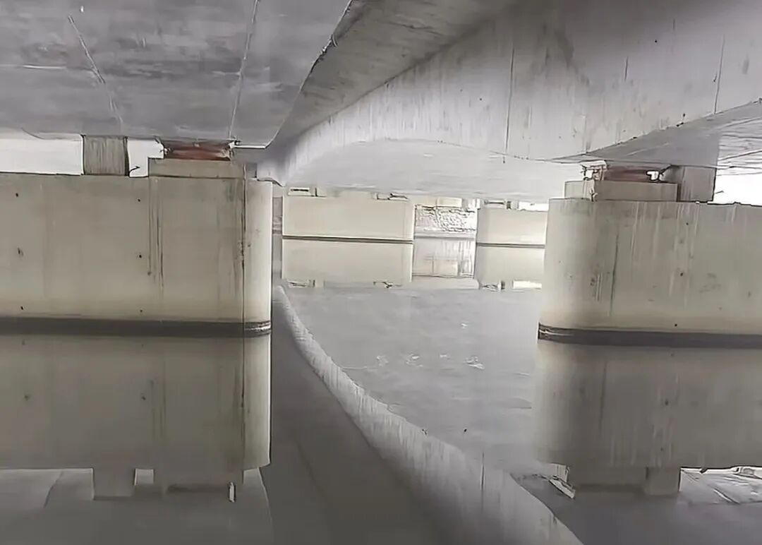“没想到要证明水是水”,网友拍到平静水面,倒影以假乱真似平整陆地 “没想到要证明水是水”,网友拍到平静水面,倒影以假乱真似平整陆地