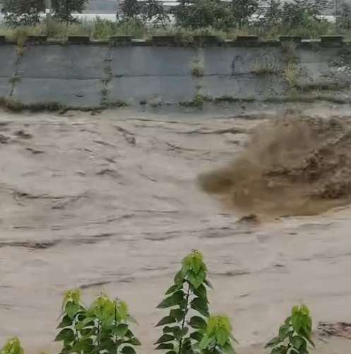 四川凉山突降大雨,多处路段中断,整片草莓地被泡在泥水里 四川凉山突降大雨,多处路段中断,整片草莓地被泡在泥水里