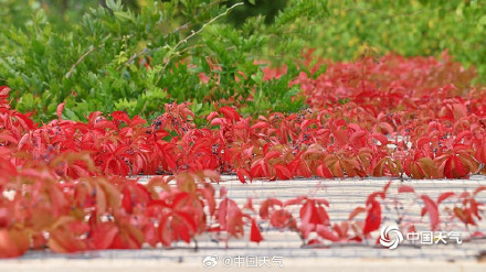 大自然的色彩转场开启加速模式 大自然的色彩转场开启加速模式