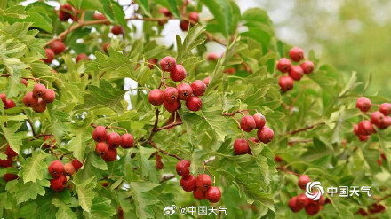 大自然的色彩转场开启加速模式 大自然的色彩转场开启加速模式