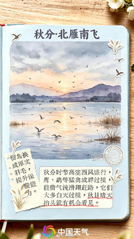 节气手账 | 秋分至，寒暑平