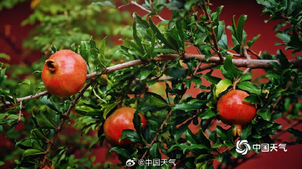 大自然的色彩转场开启加速模式 大自然的色彩转场开启加速模式