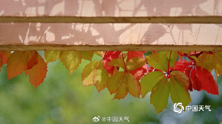 大自然的色彩转场开启加速模式 大自然的色彩转场开启加速模式