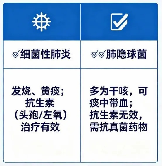 普通抗生素完全无效!小伙阳台养鸡鸭,养出“隐形病”! 普通抗生素完全无效!小伙阳台养鸡鸭,养出“隐形病”!