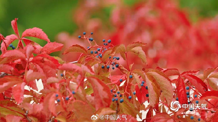大自然的色彩转场开启加速模式 大自然的色彩转场开启加速模式