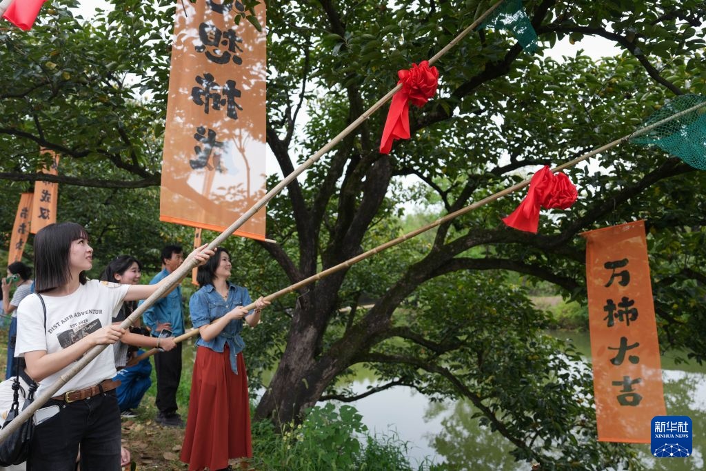 杭州：火柿映波秋西溪