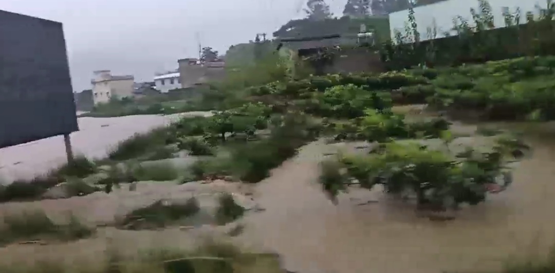 四川凉山突降大雨,多处路段中断,整片草莓地被泡在泥水里 四川凉山突降大雨,多处路段中断,整片草莓地被泡在泥水里
