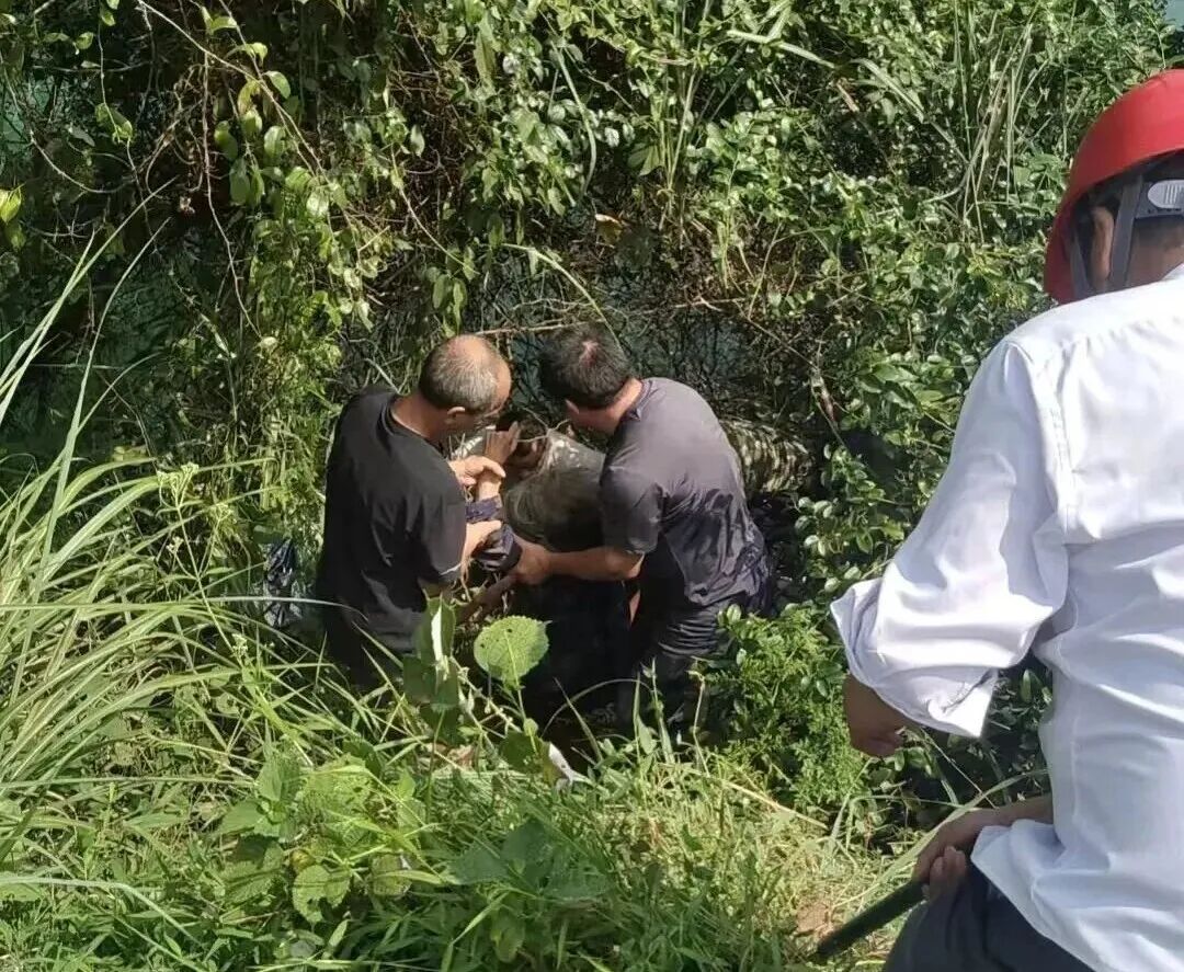 连续搜救30个小时，87岁老人找到了！