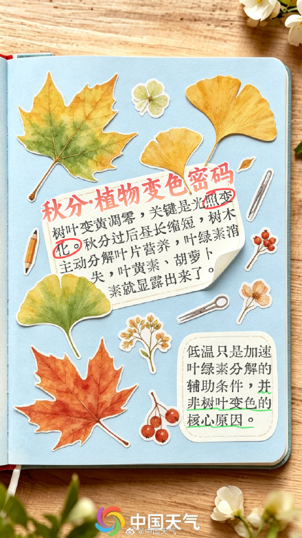节气手账 | 秋分至，寒暑平