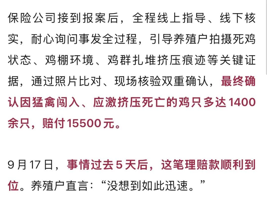 保护动物深夜闯入鸡棚,1400多只鸡被当场吓死!鸡主人一通电话,5天后获赔15500元 保护动物深夜闯入鸡棚,1400多只鸡被当场吓死!鸡主人一通电话,5天后获赔15500元
