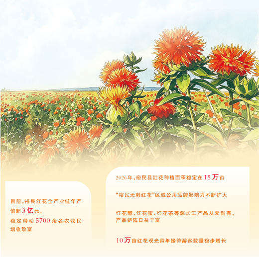 新疆裕民红花这样“红”起来 新疆裕民红花这样“红”起来