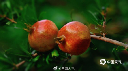 大自然的色彩转场开启加速模式 大自然的色彩转场开启加速模式