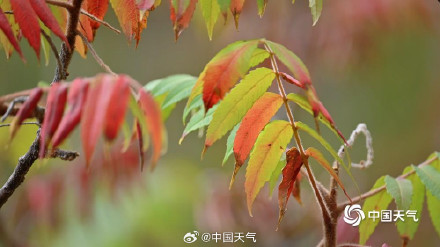 大自然的色彩转场开启加速模式 大自然的色彩转场开启加速模式
