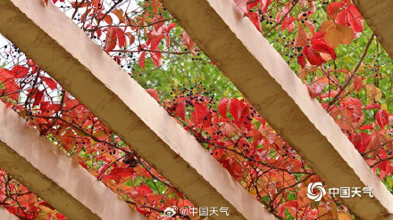 大自然的色彩转场开启加速模式 大自然的色彩转场开启加速模式