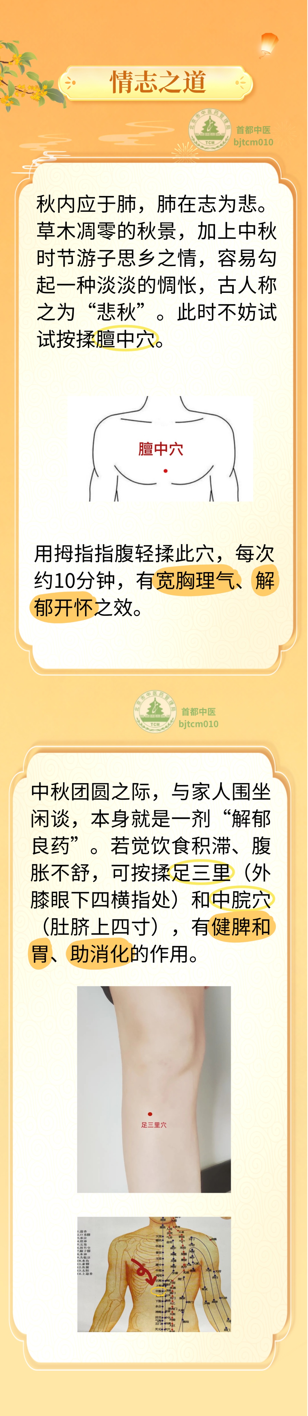 中秋养生,重在“顺时”:饮食、起居、情志三步走,月圆人更安 中秋养生,重在“顺时”:饮食、起居、情志三步走,月圆人更安