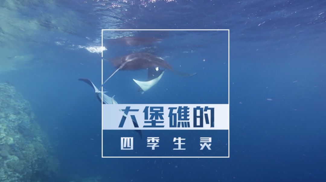 中秋国庆档CCTV-9片单来了!超18部大片上新→ 中秋国庆档CCTV-9片单来了!超18部大片上新→
