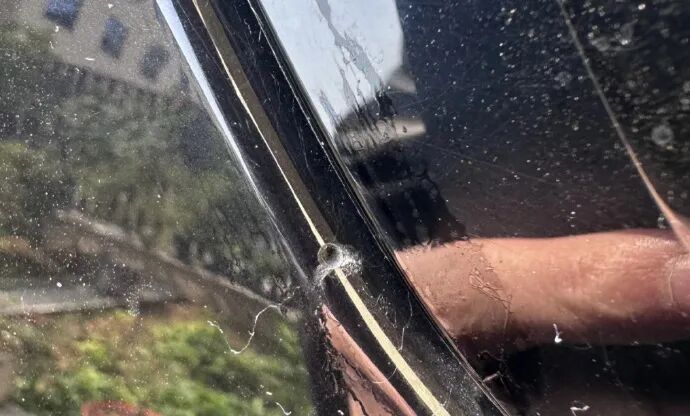 车上莫名其妙出现小圆洞,提醒:爱车别长时间停在这种树下 车上莫名其妙出现小圆洞,提醒:爱车别长时间停在这种树下