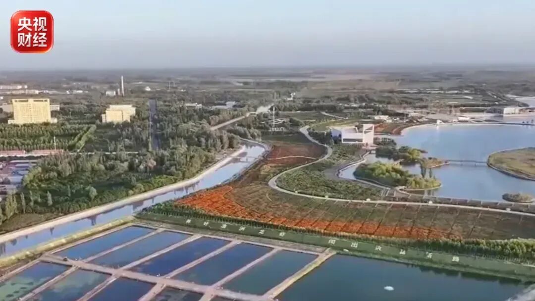 塔克拉玛干沙漠迎来水产丰收季
