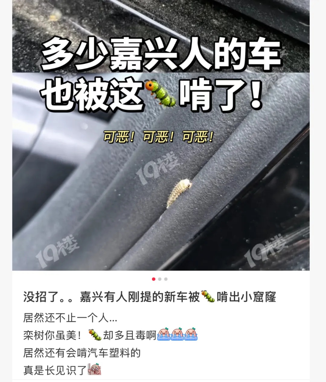 车上莫名其妙出现小圆洞,浙江多位车主中招!提醒:车子别长时间停在这 车上莫名其妙出现小圆洞,浙江多位车主中招!提醒:车子别长时间停在这